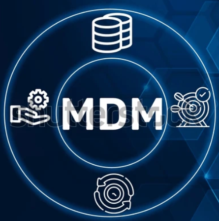 MDMAI Logo
